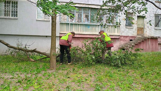 У Харкові прибирають повалені дерева після буревію